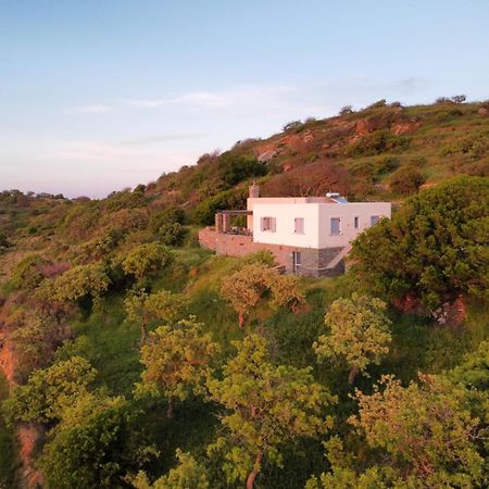 Cycladic Villa With Sea View! Ioulis Exterior photo